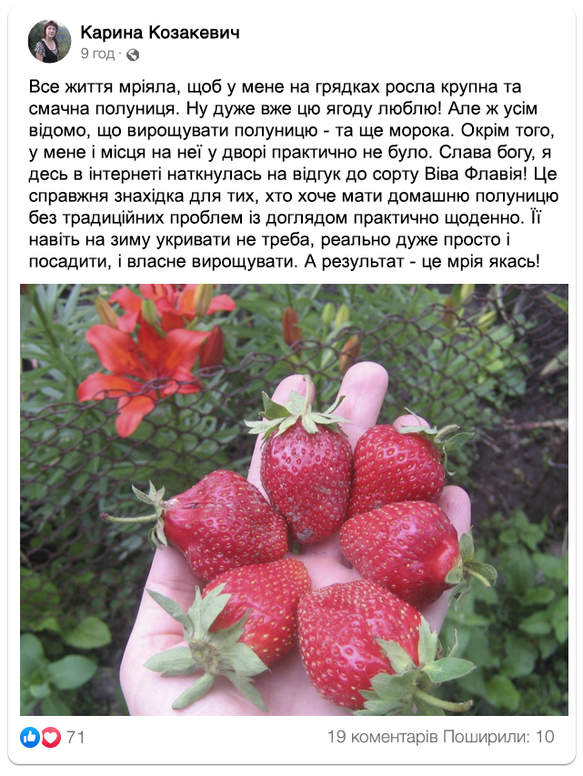 Заголовок