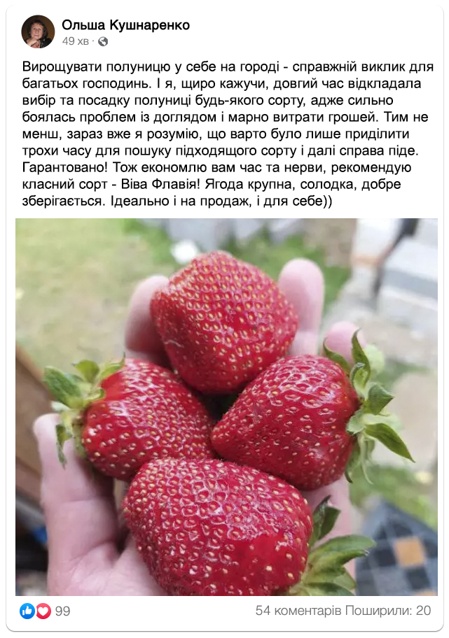 Заголовок