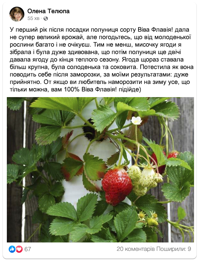 Заголовок