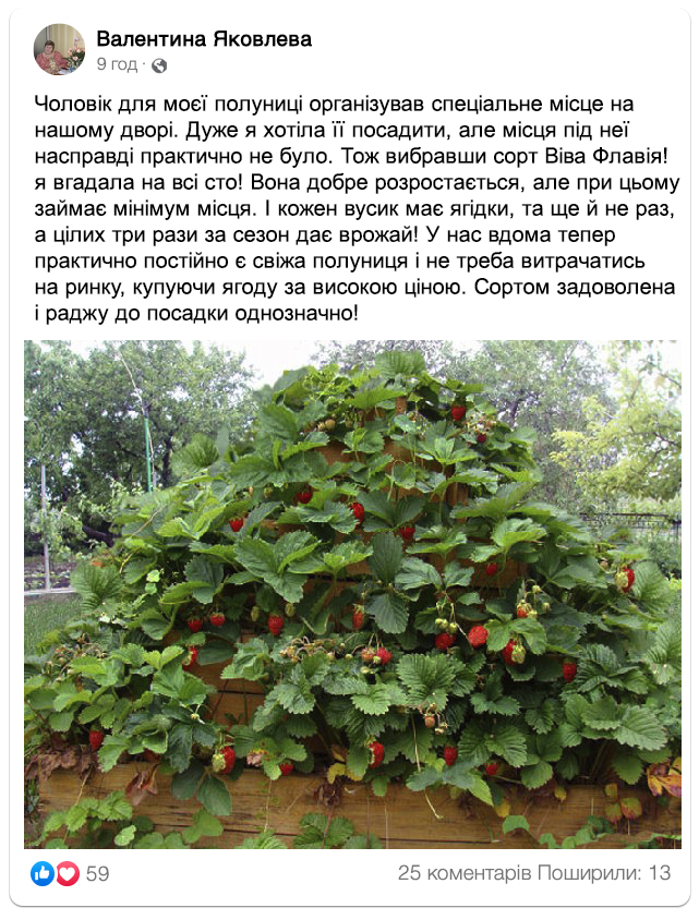 Заголовок