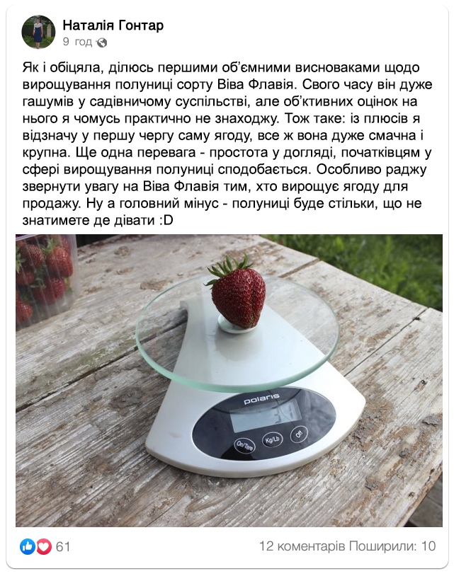 Заголовок