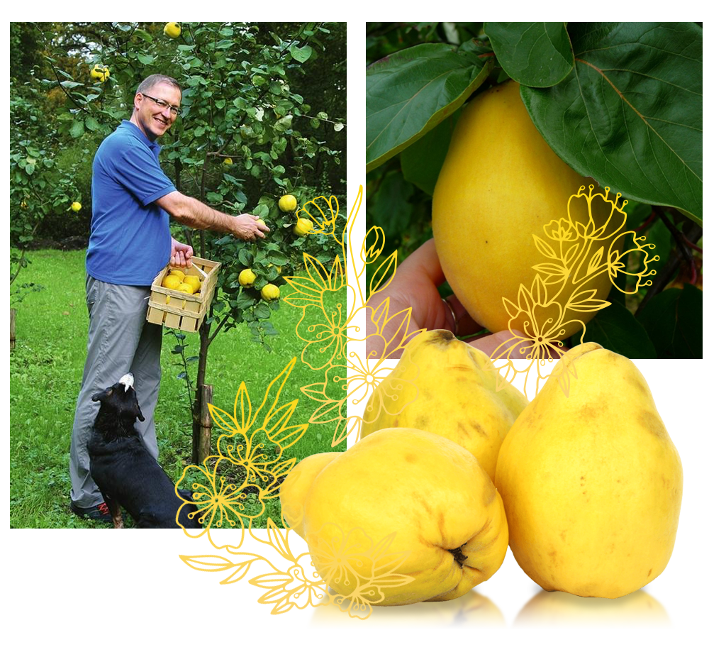 Заголовок