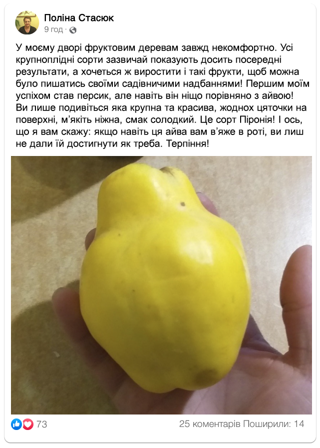 Заголовок
