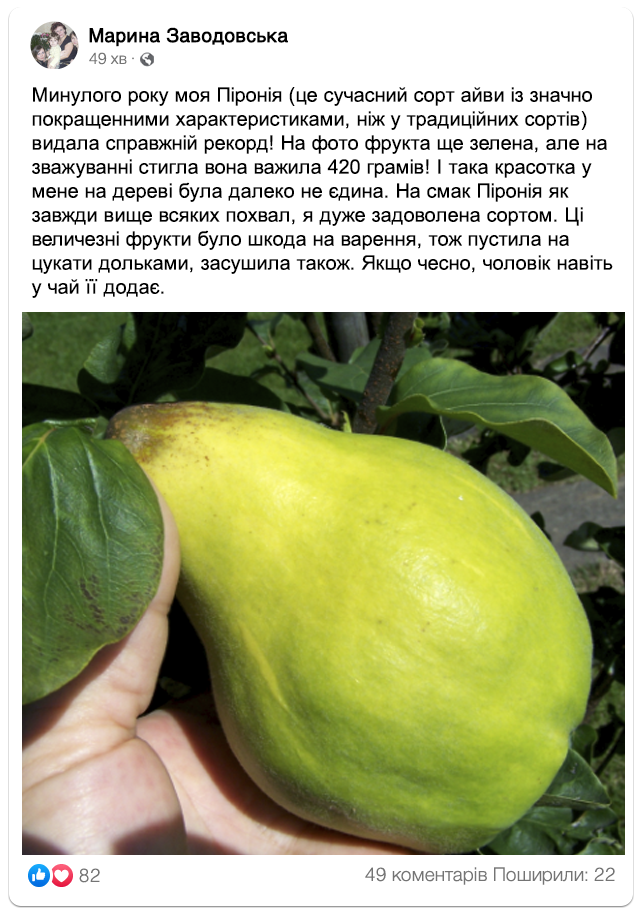 Заголовок