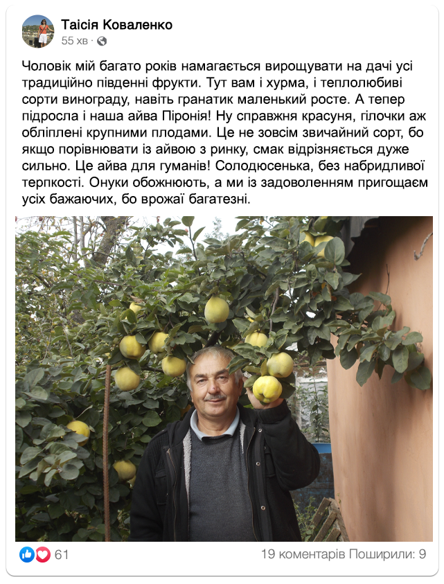 Заголовок