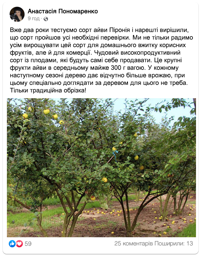 Заголовок