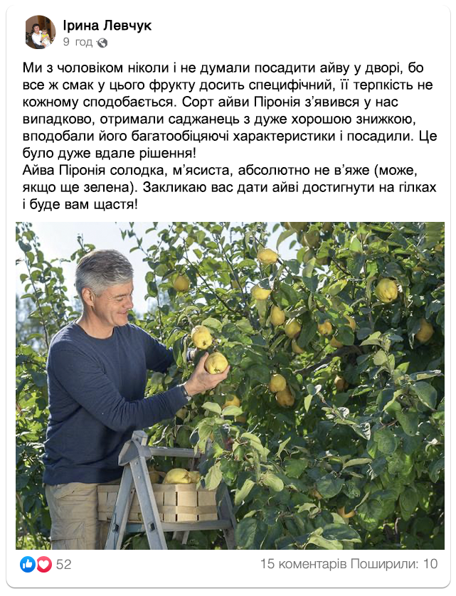 Заголовок