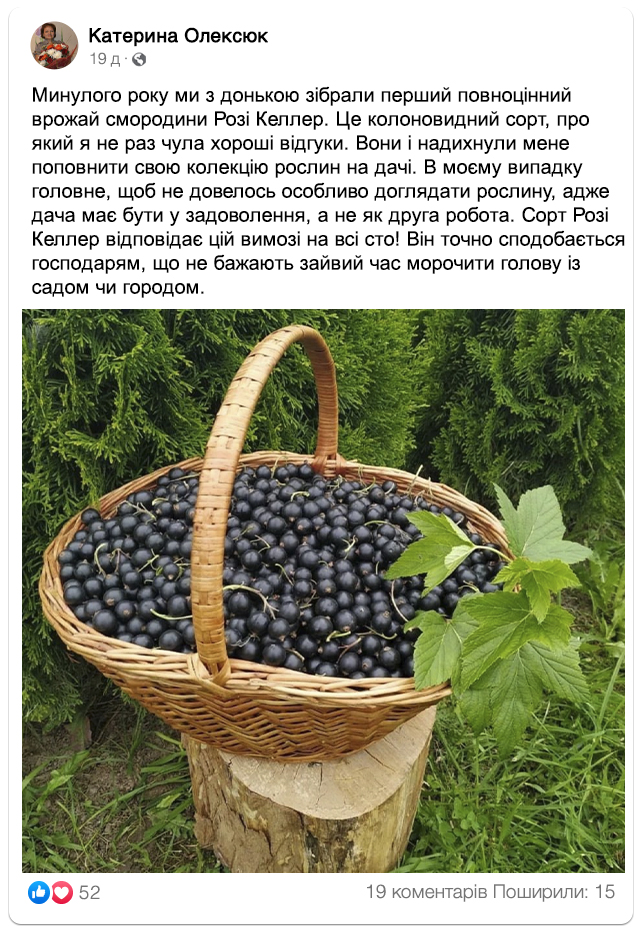 Заголовок