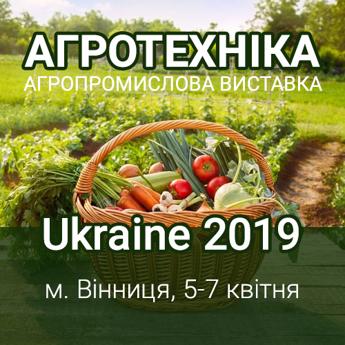 Заголовок