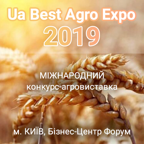 Заголовок