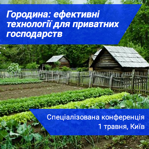 Заголовок