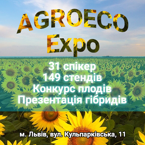 Заголовок