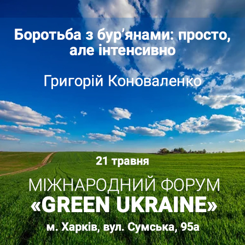 Заголовок