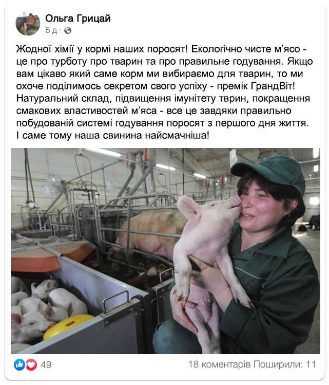 Заголовок