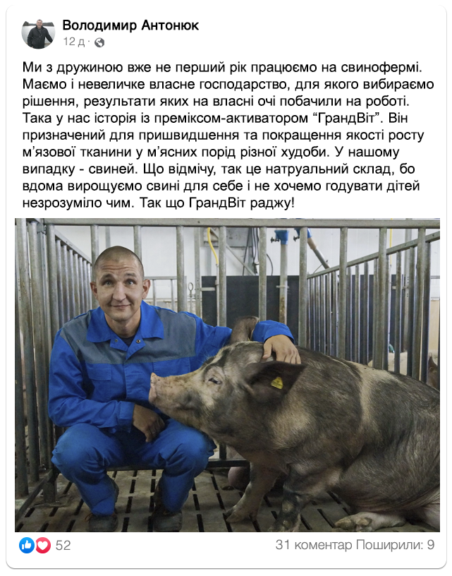 Заголовок