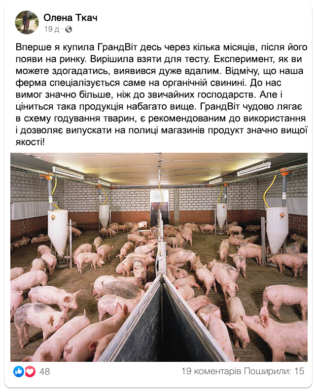 Заголовок