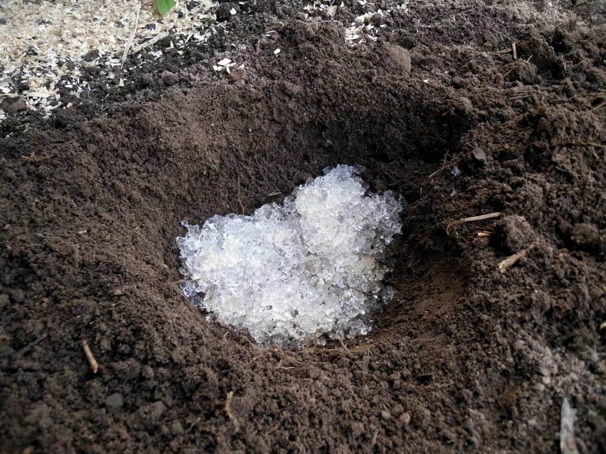 Заголовок