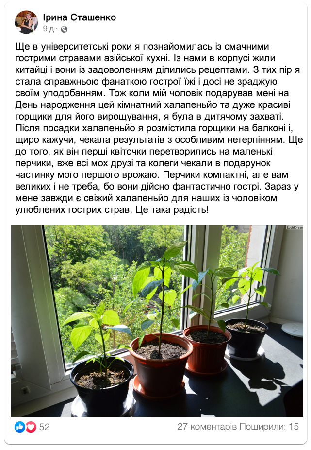 Заголовок