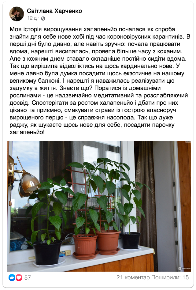 Заголовок