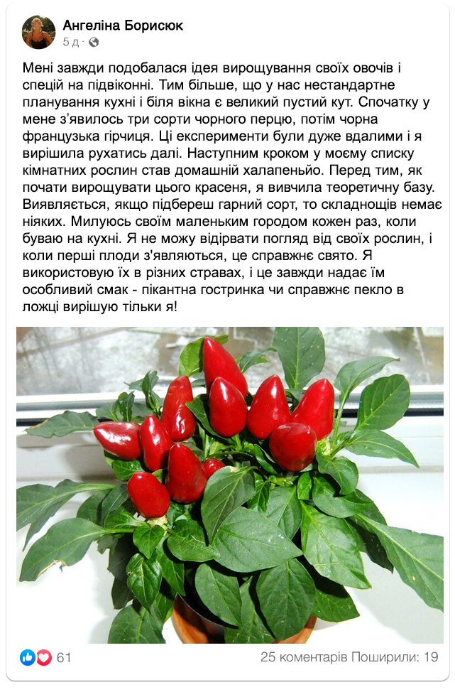 Заголовок