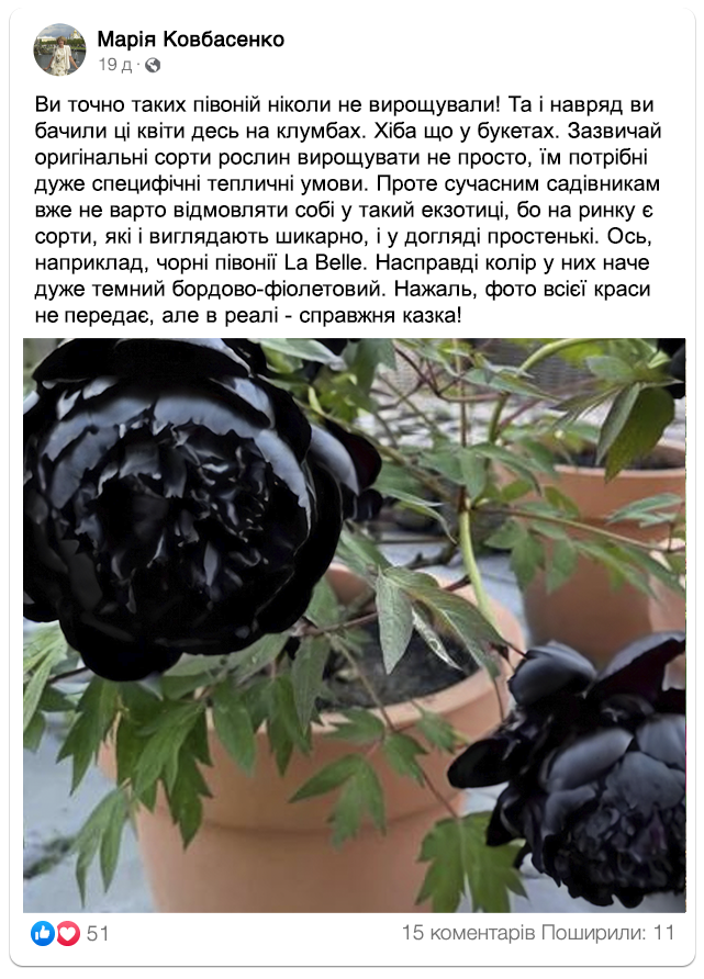 Заголовок