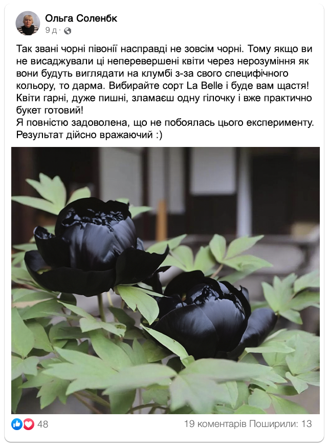 Заголовок