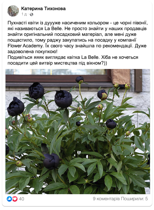 Заголовок