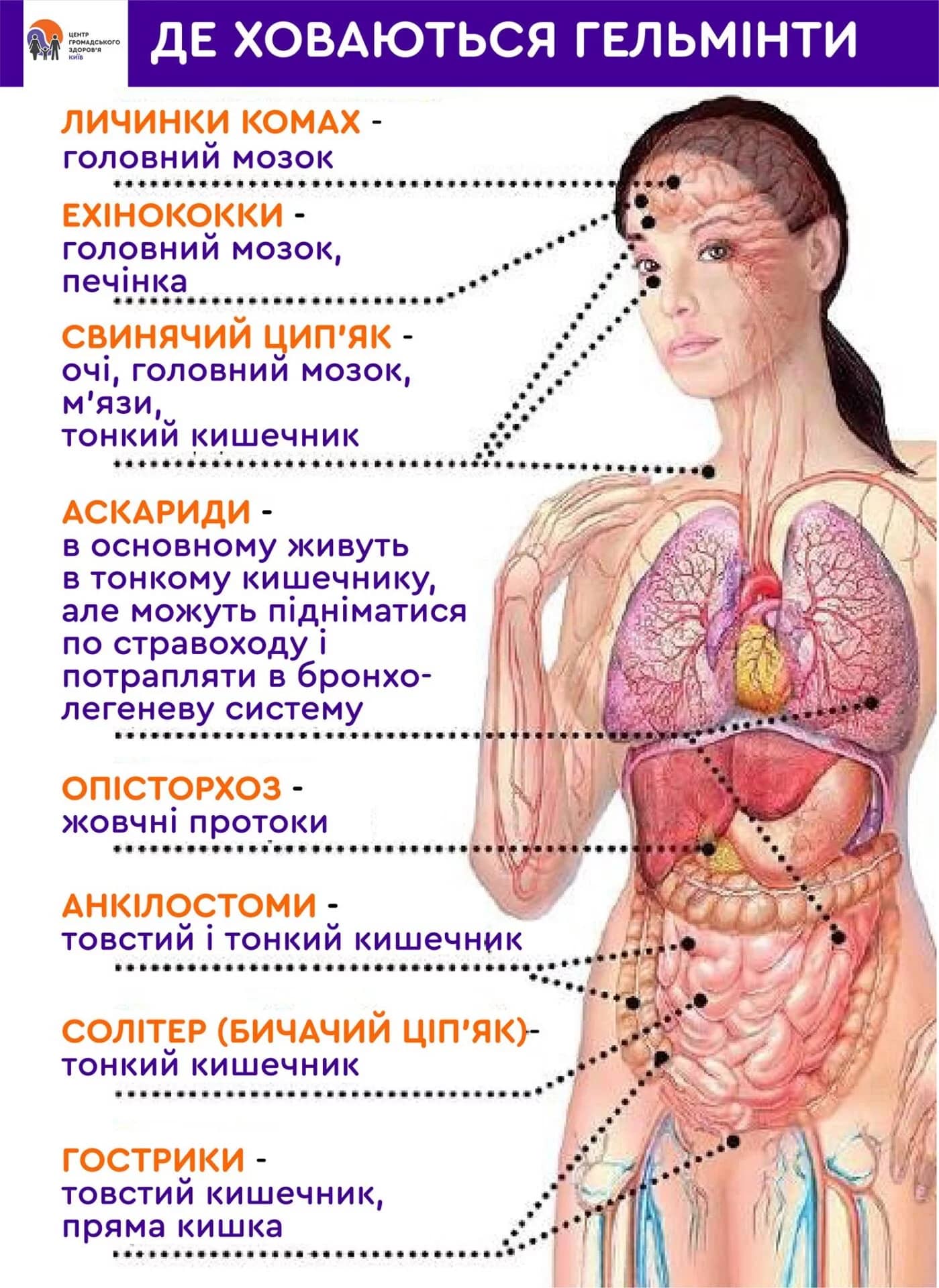 Заголовок