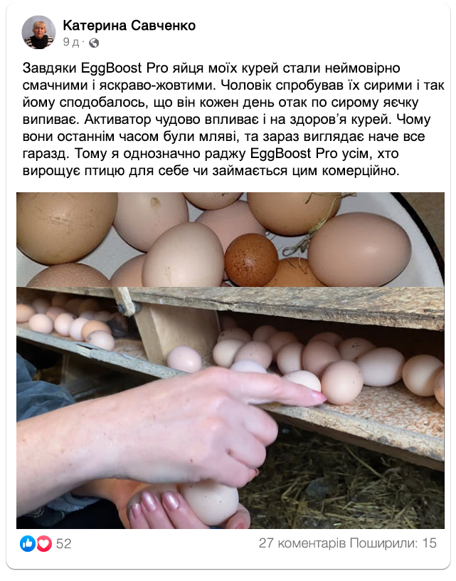 Заголовок