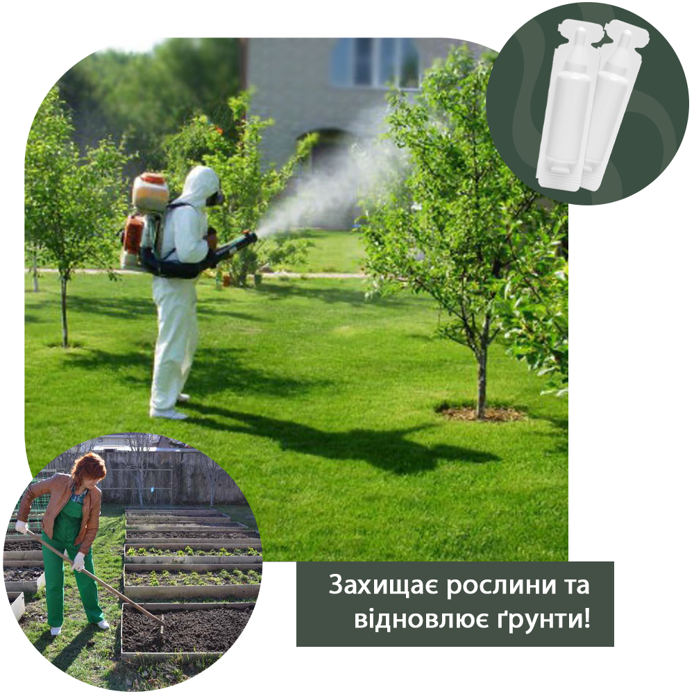 Заголовок