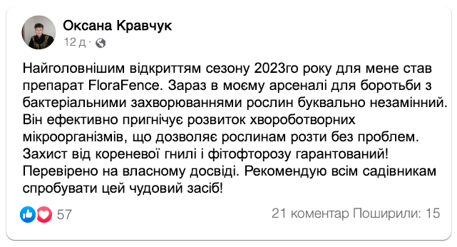 Заголовок