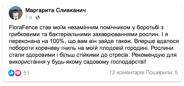 Заголовок
