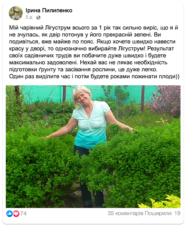 Заголовок