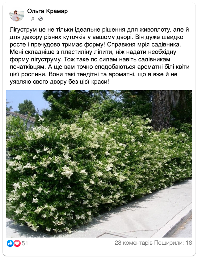 Заголовок