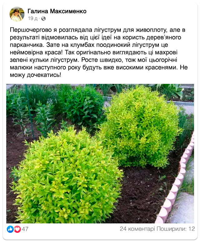 Заголовок