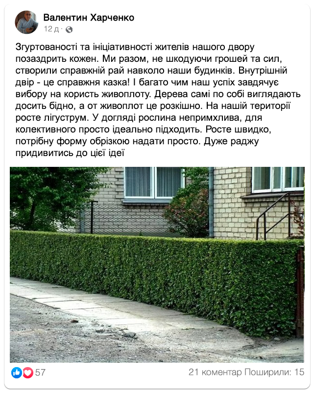 Заголовок