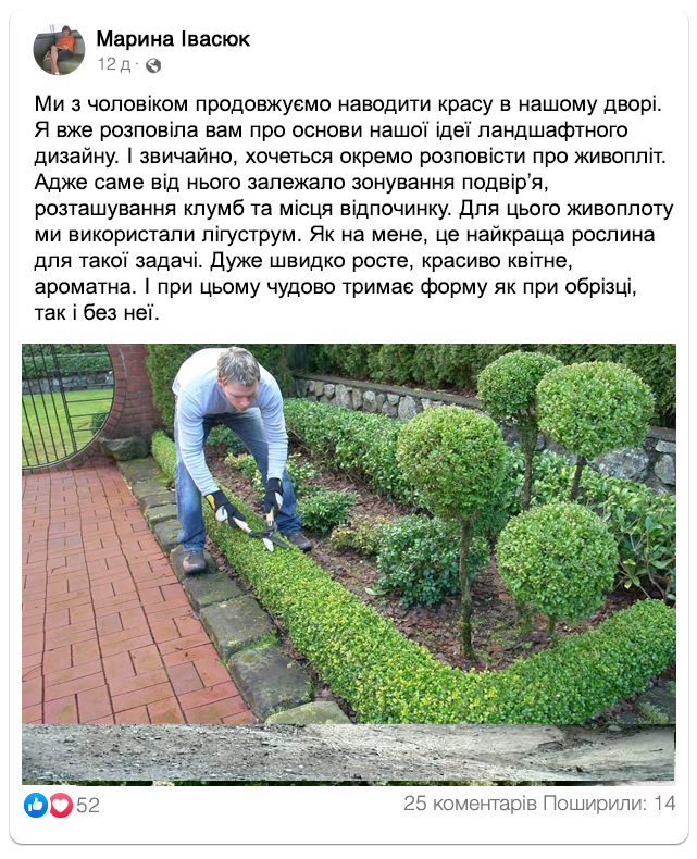 Заголовок