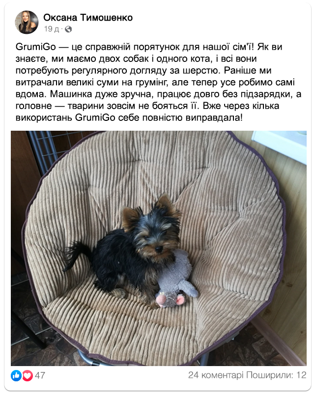 Заголовок