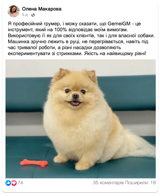 Заголовок