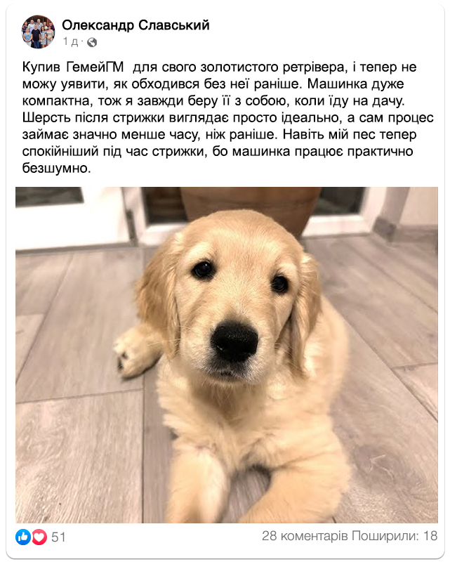 Заголовок