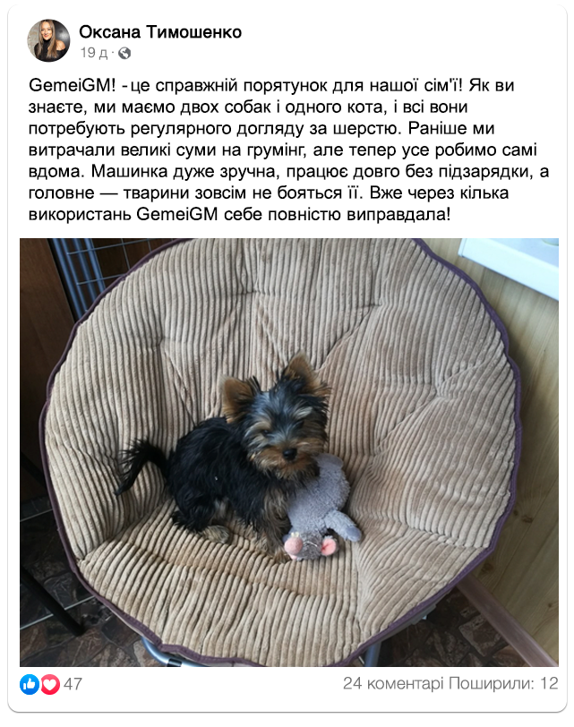 Заголовок