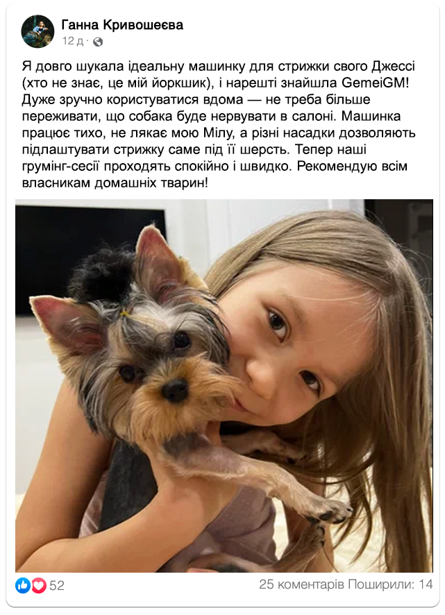 Заголовок
