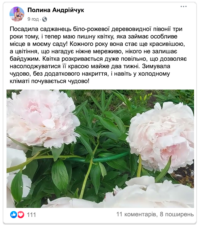 Image title