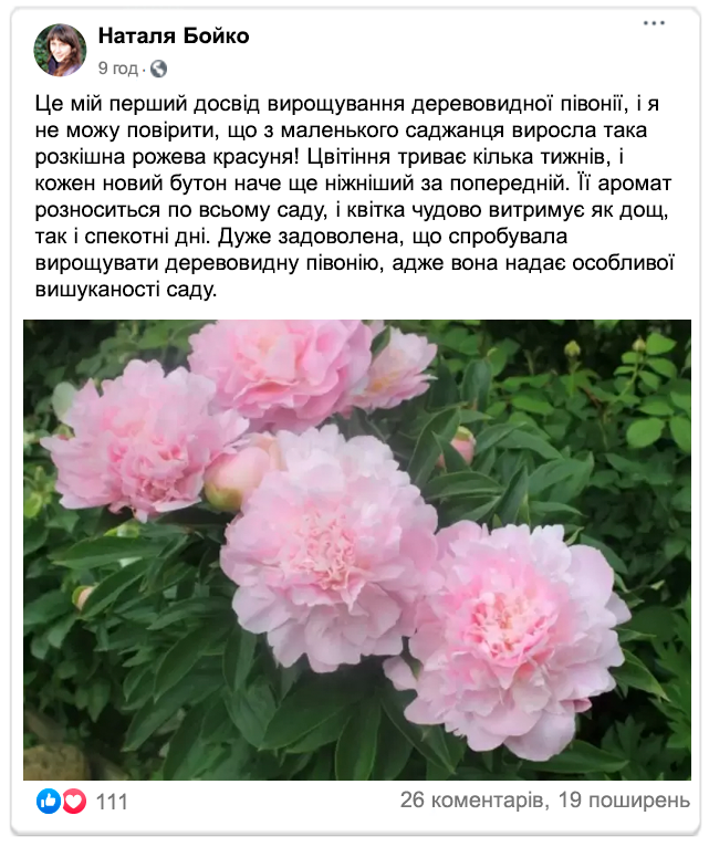 Image title