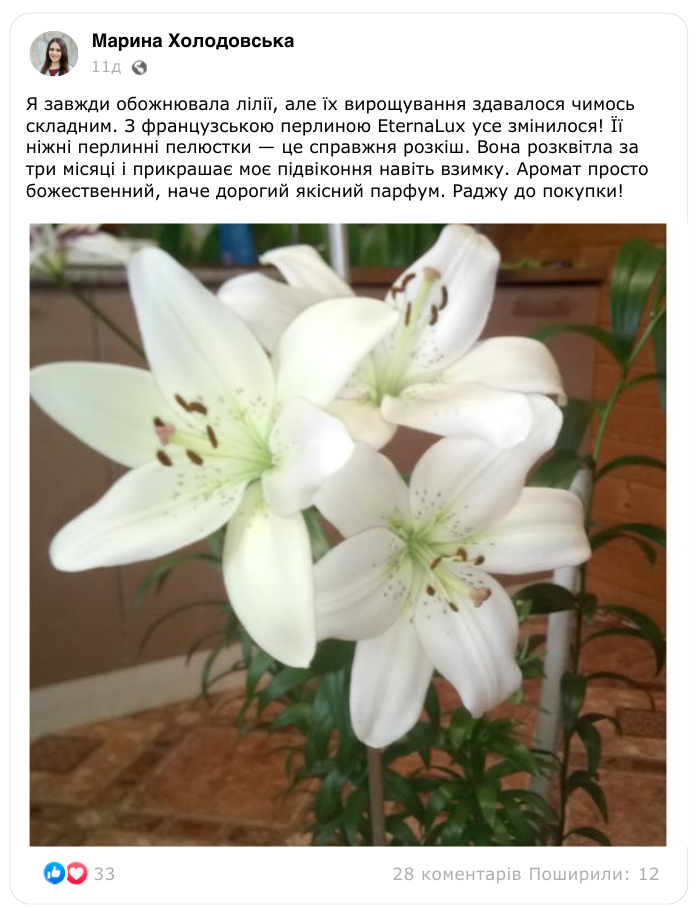 Заголовок