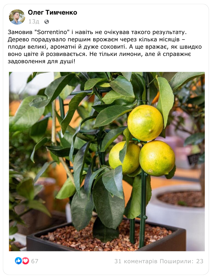 Заголовок