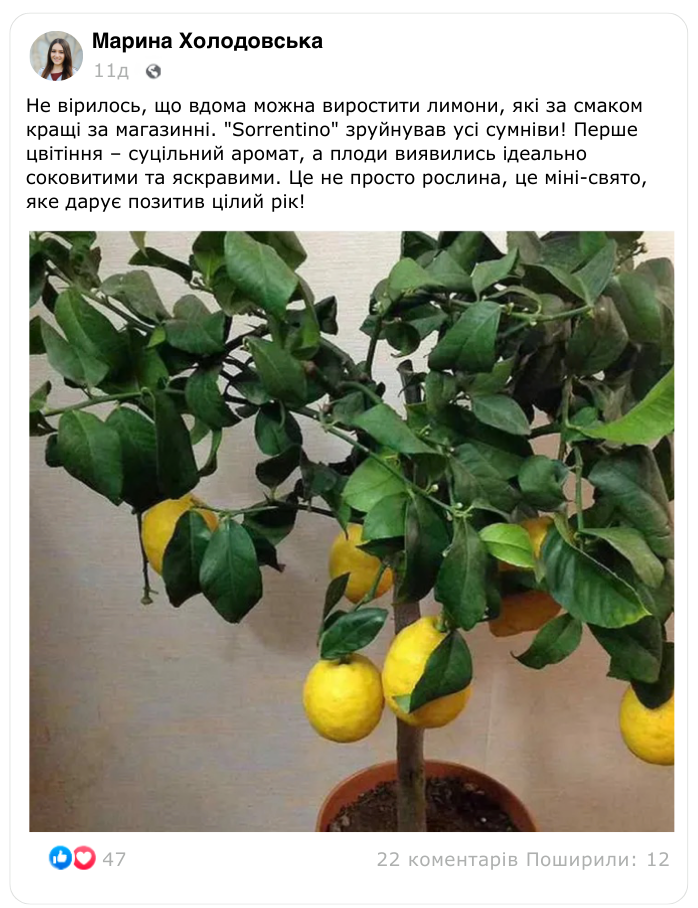 Заголовок
