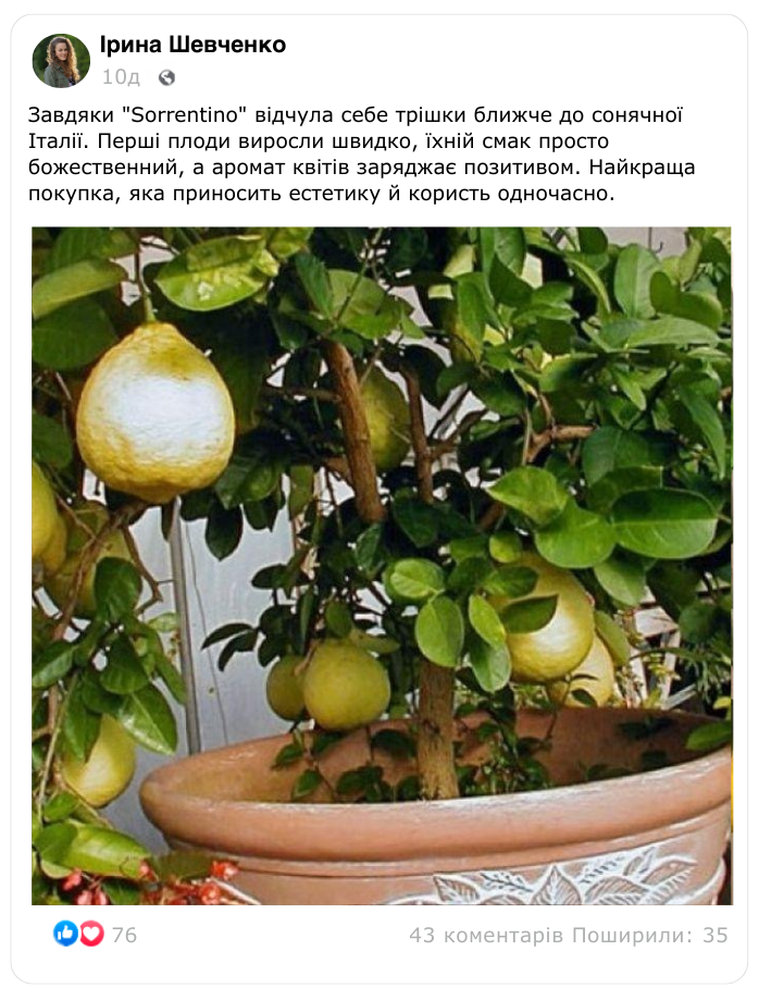 Заголовок