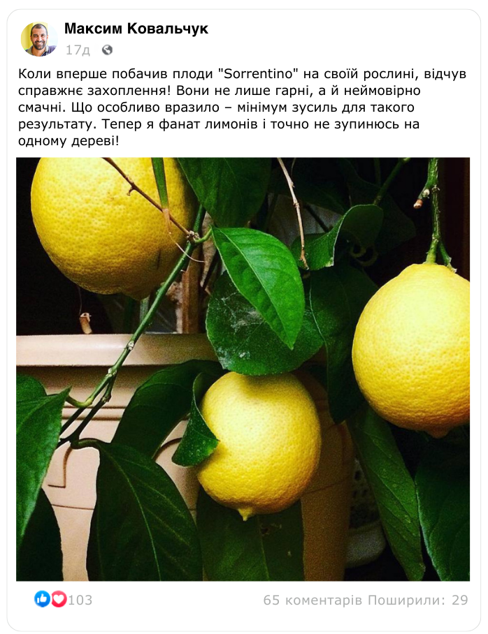 Заголовок