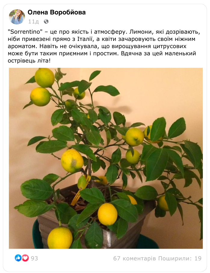 Заголовок